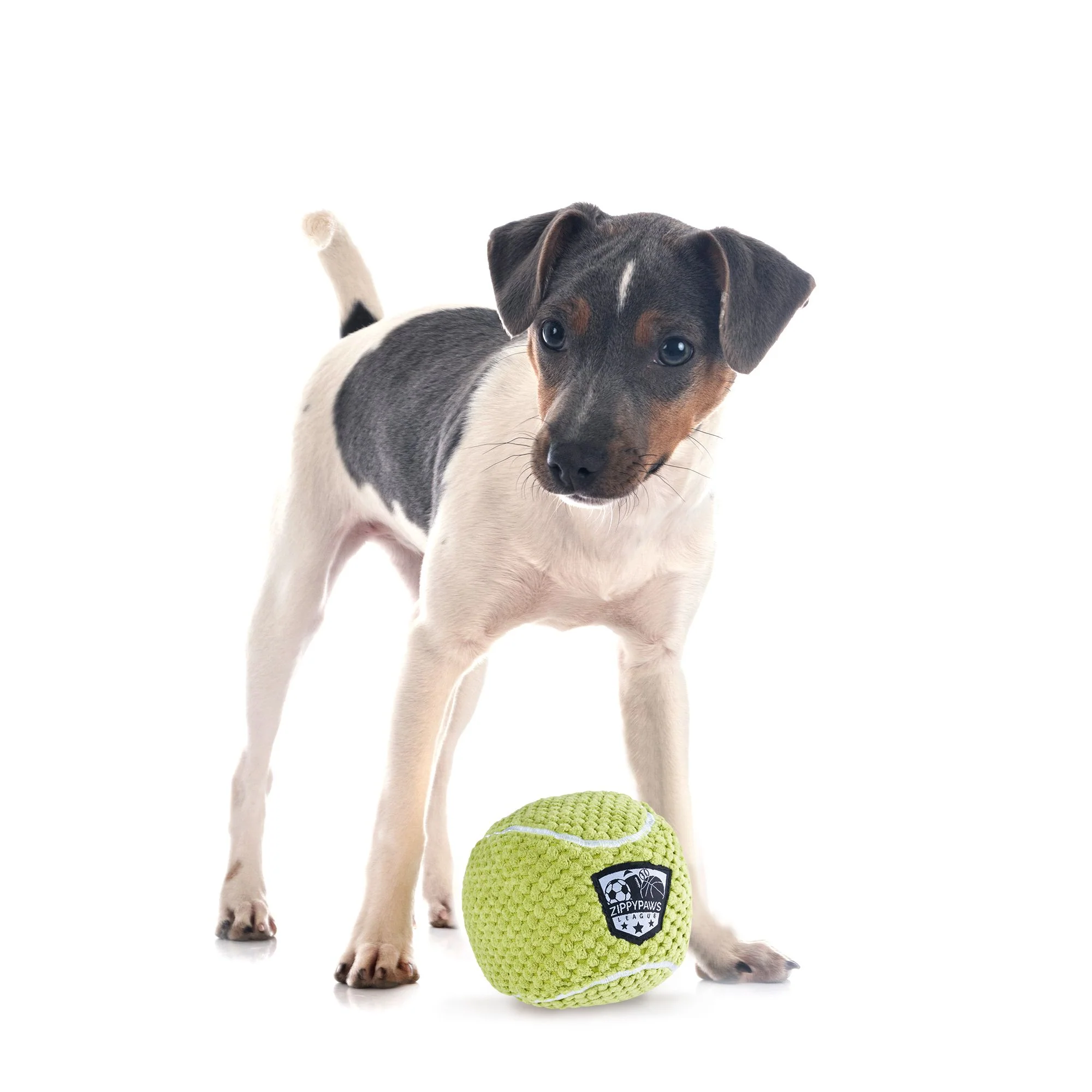 Zippy Paws SportsBallz Tennis Ball Plush Toy for Dogs - Image 7