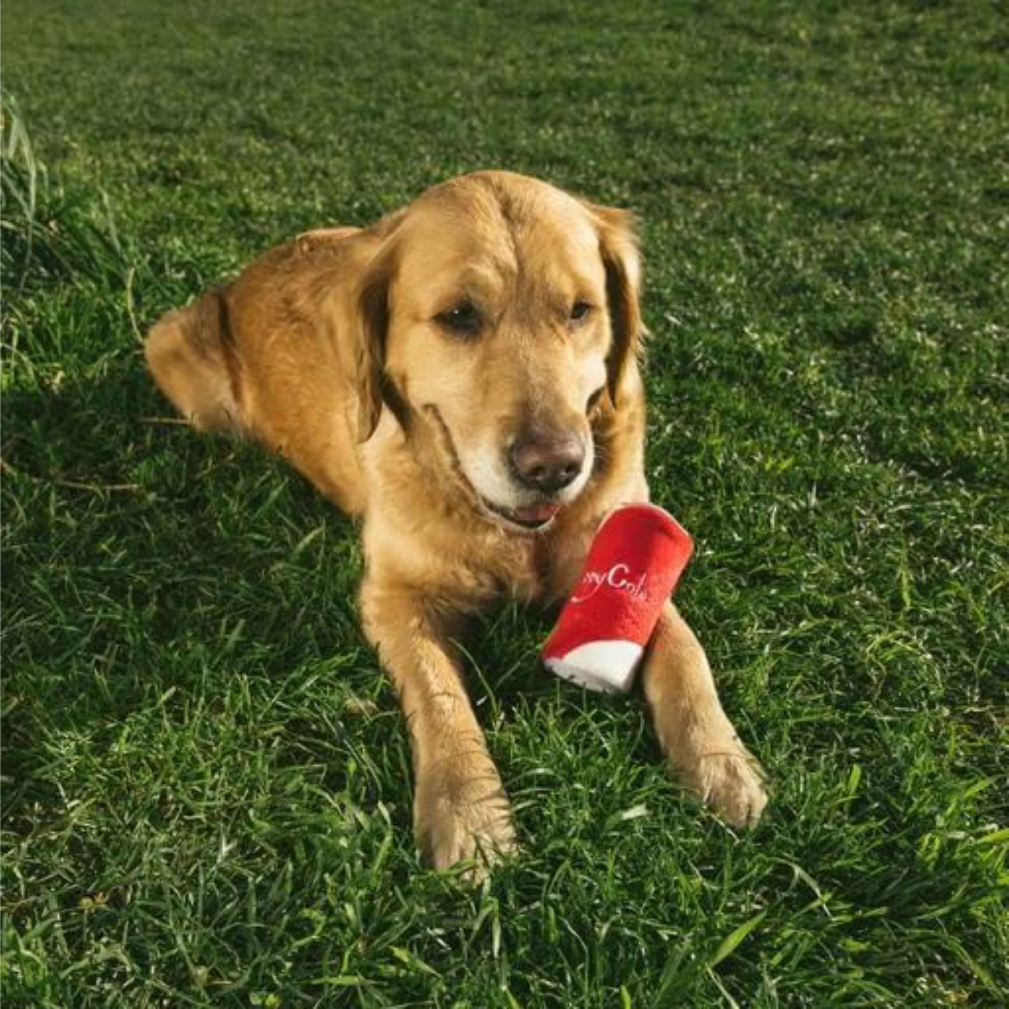 Zippy Paws Squeakie Can Zippy Cola Plush Toy for Dogs - Image 7