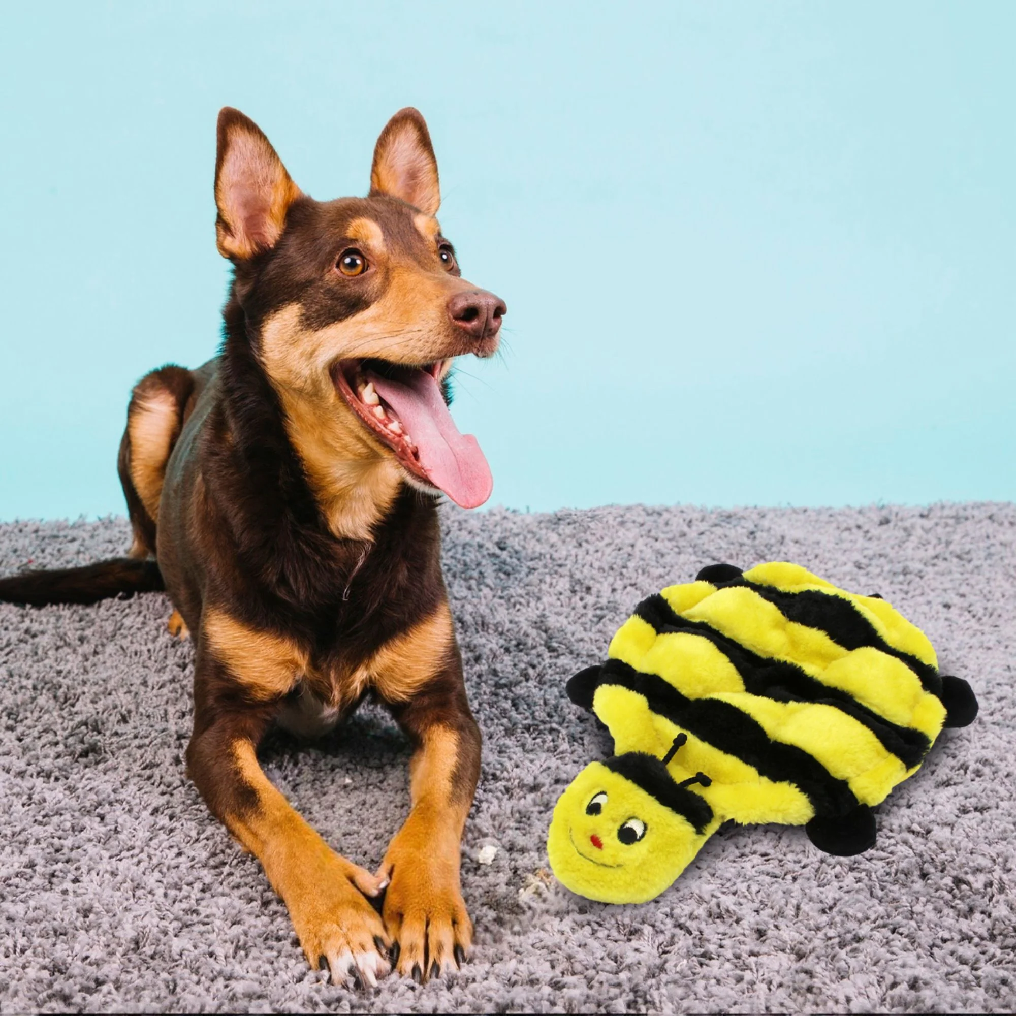 Zippy Paws Squeakie Crawler Bertie the Bee Plush Toy for Dogs - Image 8