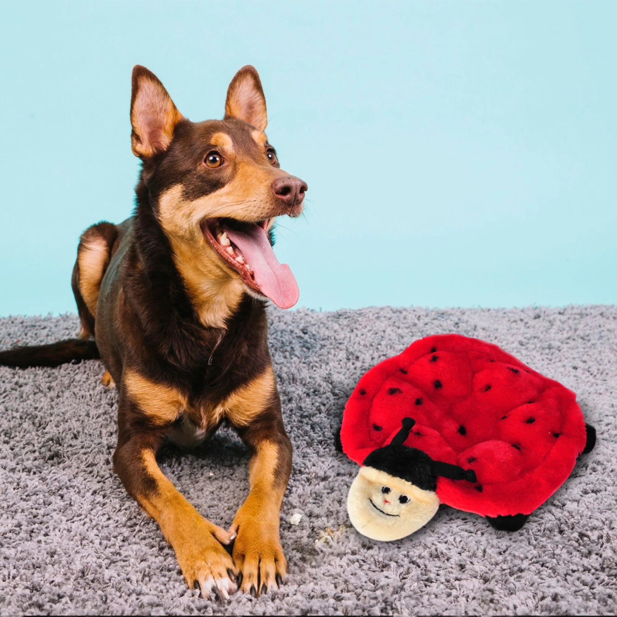 Zippy Paws Squeakie Crawler Betsey the Ladybug Plush Toy for Dogs - Image 7