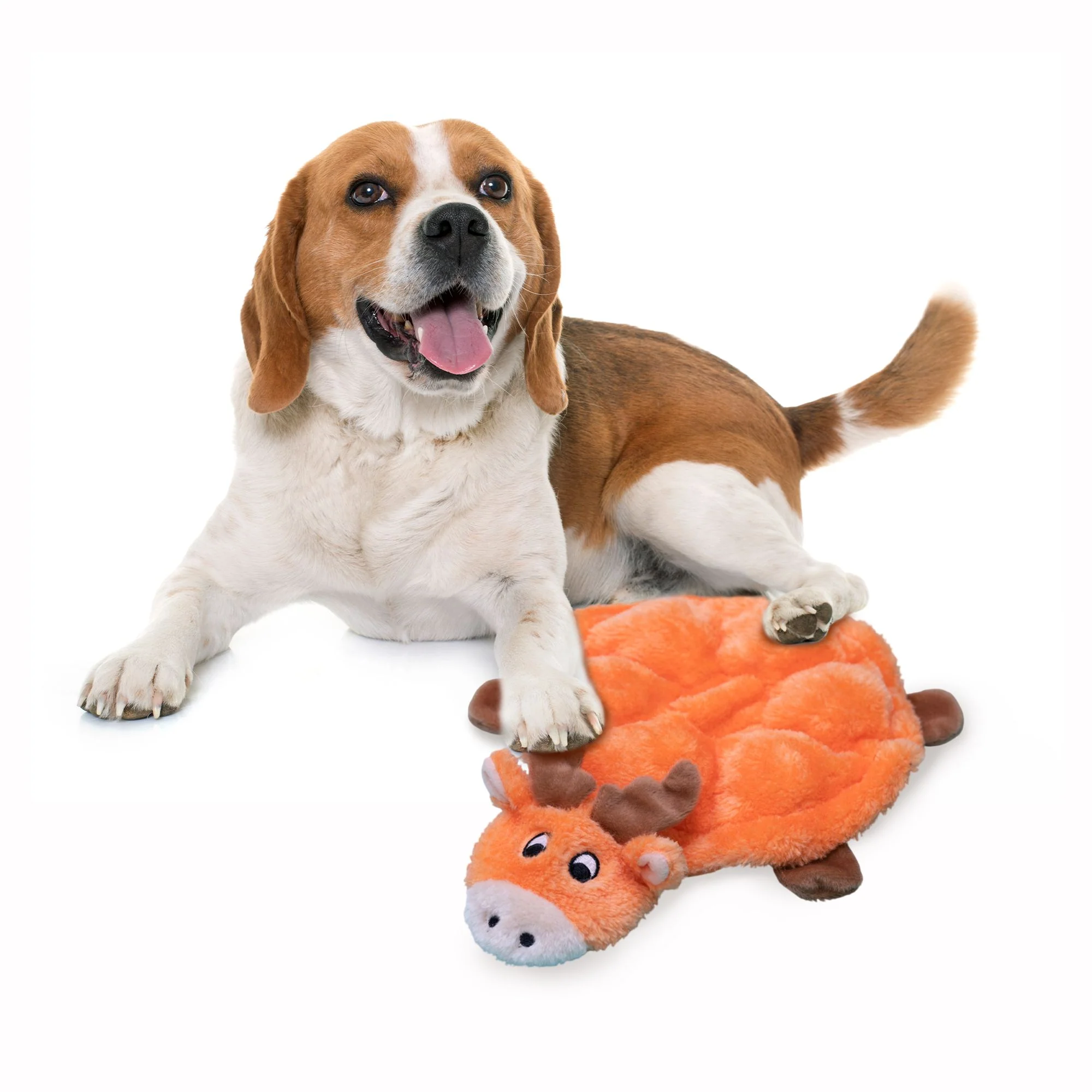 Zippy Paws Squeakie Crawler Moody the Moose Plush Toy for Dogs - Image 6