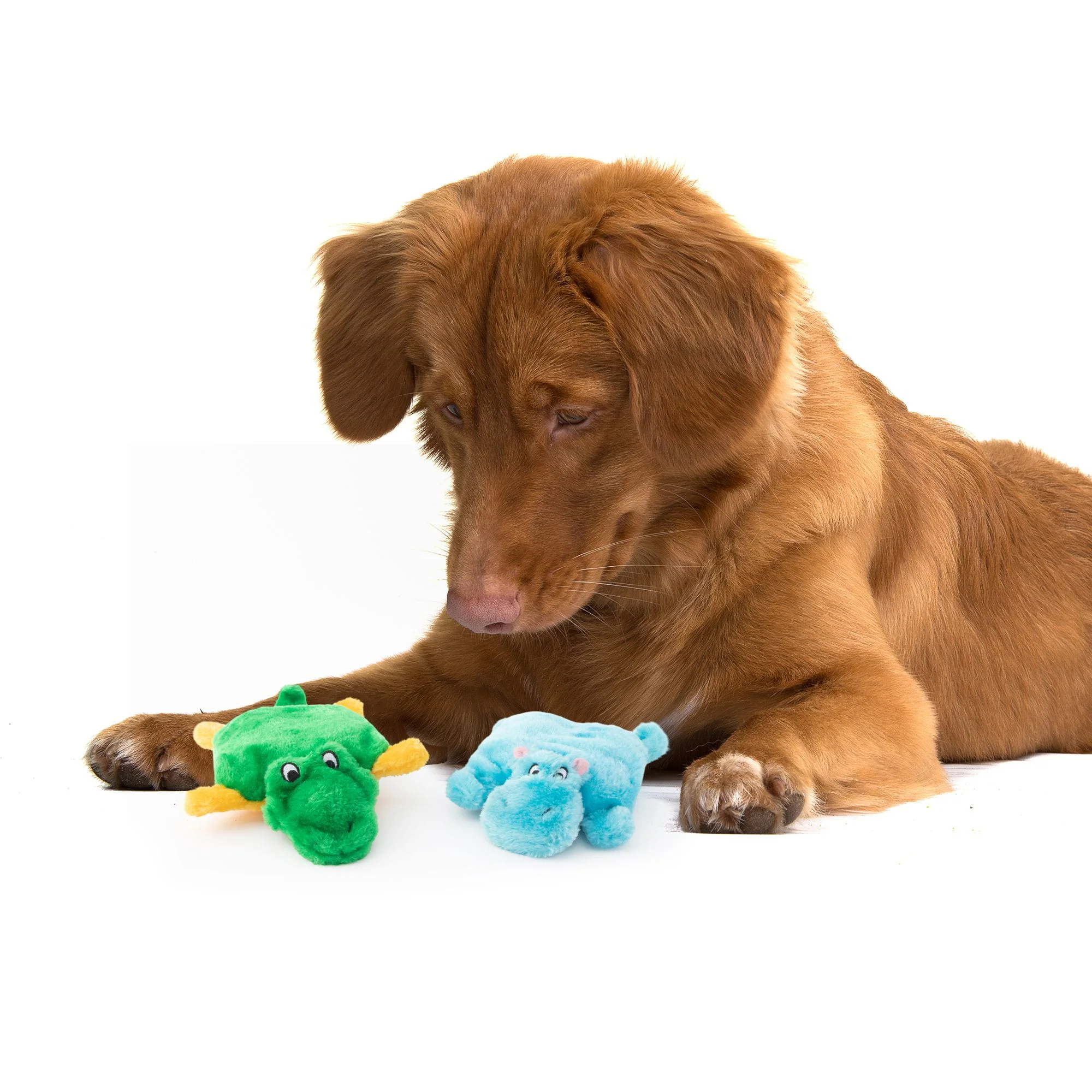 Zippy Paws Squeakie Pads Hippo & Aligator Plush Toy for Dogs - Image 7