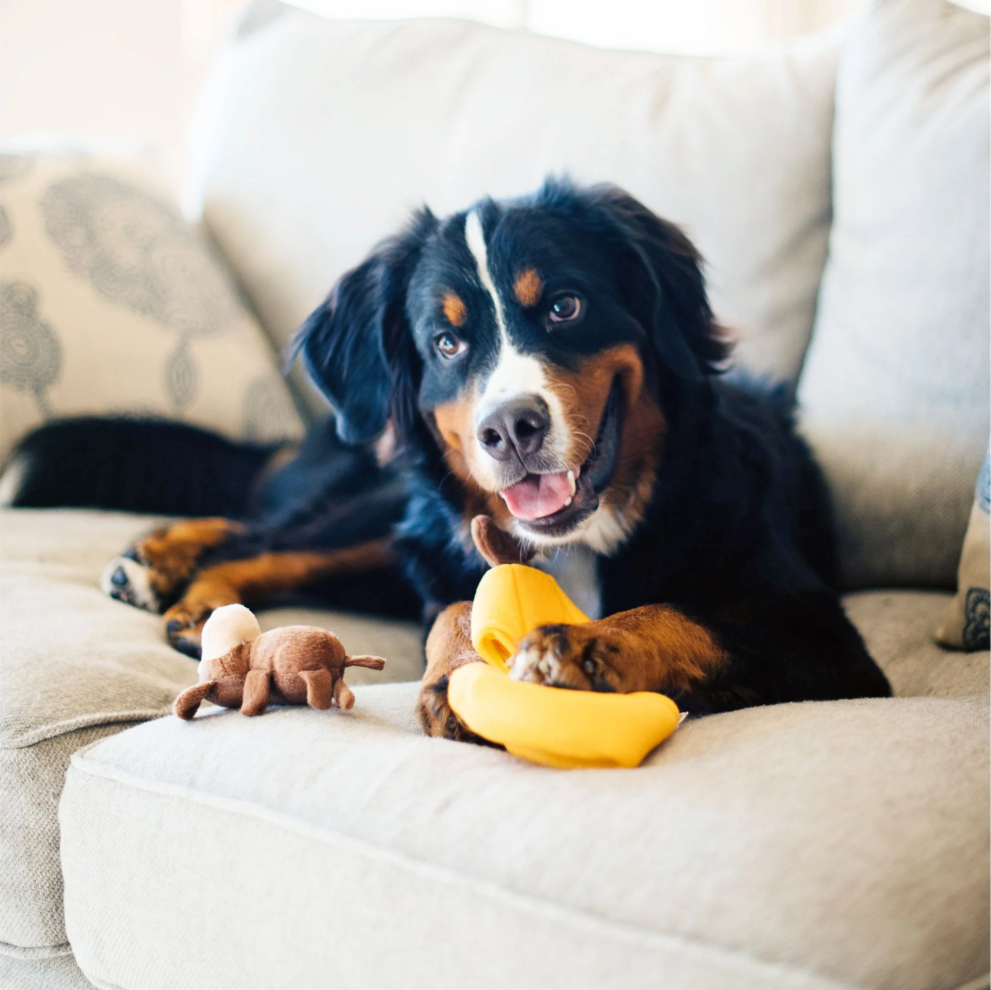 Zippy Paws Zippy Burrow Monkey 'n Banana Plush Toy for Dogs - Image 3