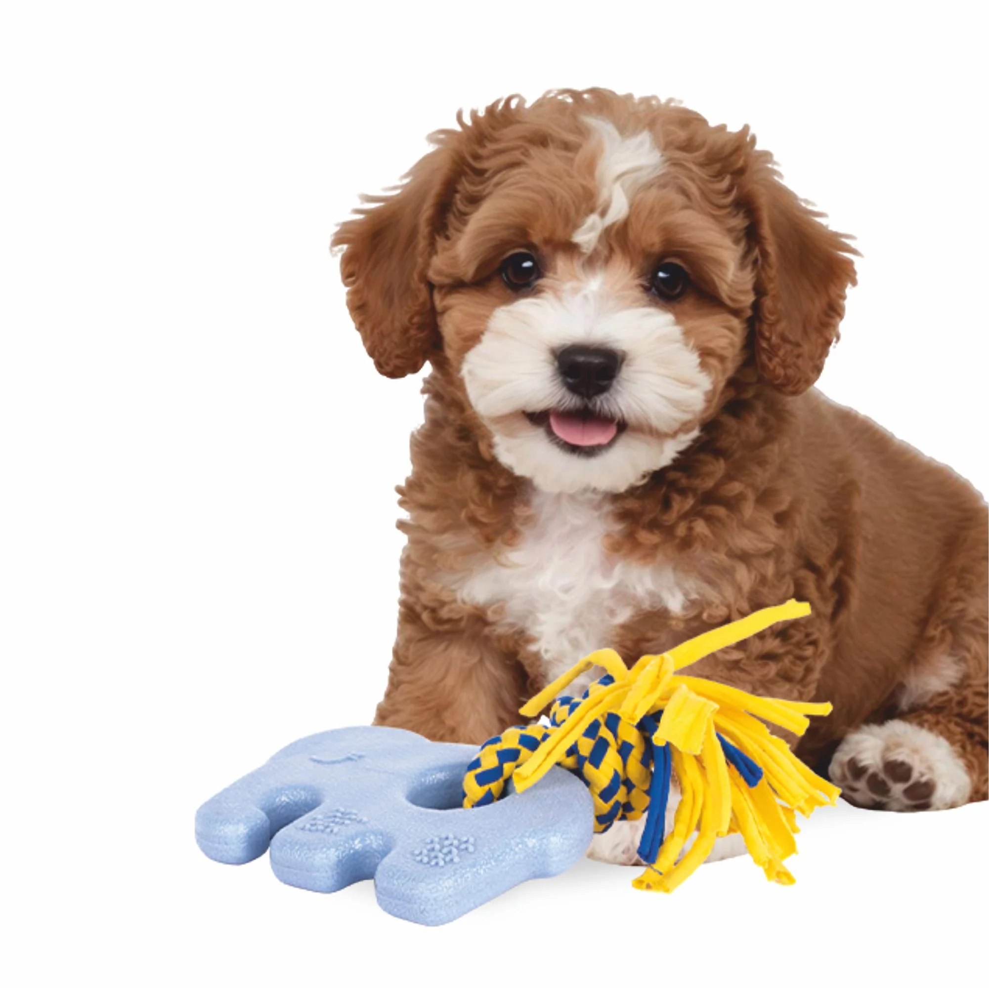 Zippy Paws ZippyTuff Teether Elliot the Elephant Plush Toy for Dogs - Image 5