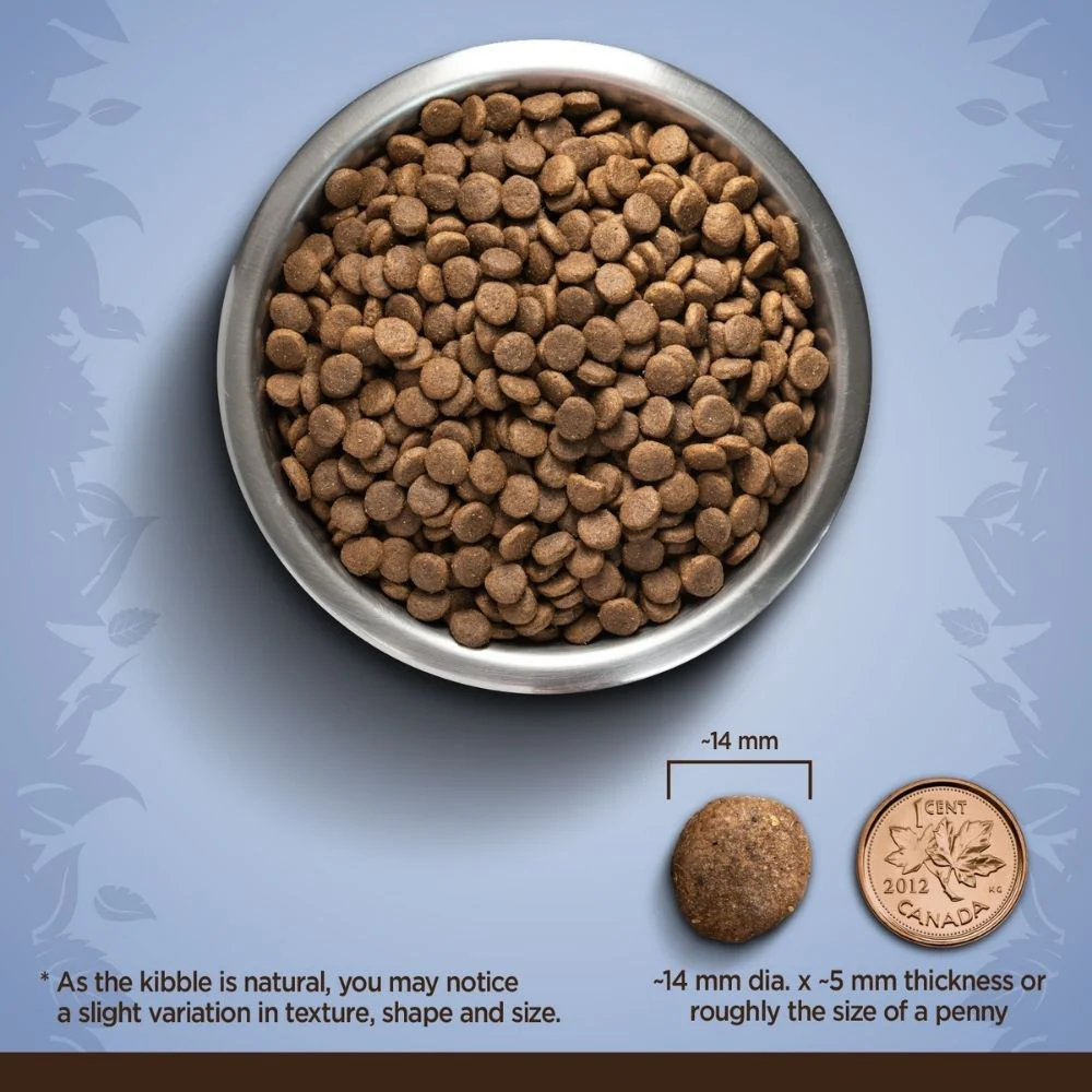 Zoe Chicken, Quinoa and Black Bean Medium Breed Adult Dog Dry Food - Image 3