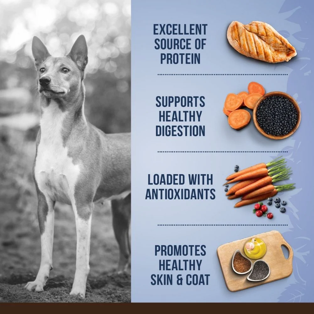 Zoe Chicken, Quinoa and Black Bean Medium Breed Adult Dog Dry Food - Image 4