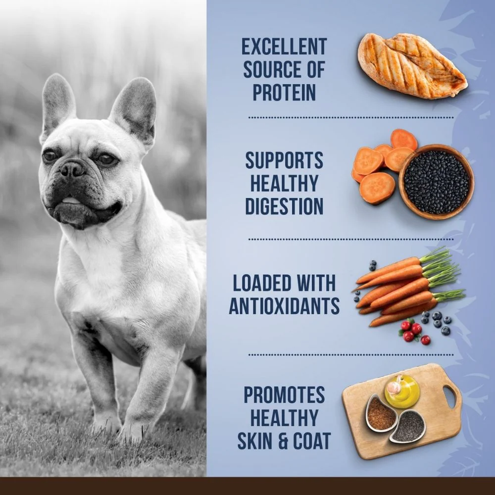 Zoe Chicken, Quinoa and Black Bean Small Breed Adult Dog Dry Food - Image 2
