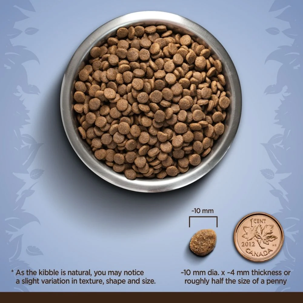 Zoe Chicken, Quinoa and Black Bean Small Breed Adult Dog Dry Food - Image 3