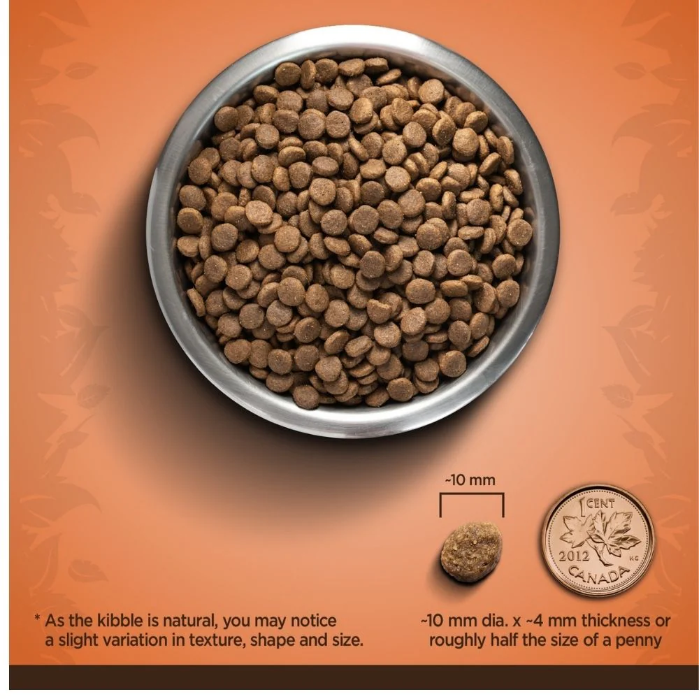 Zoe Turkey and Sweet Potato Small Breed Adult Dog Dry Food - Image 3