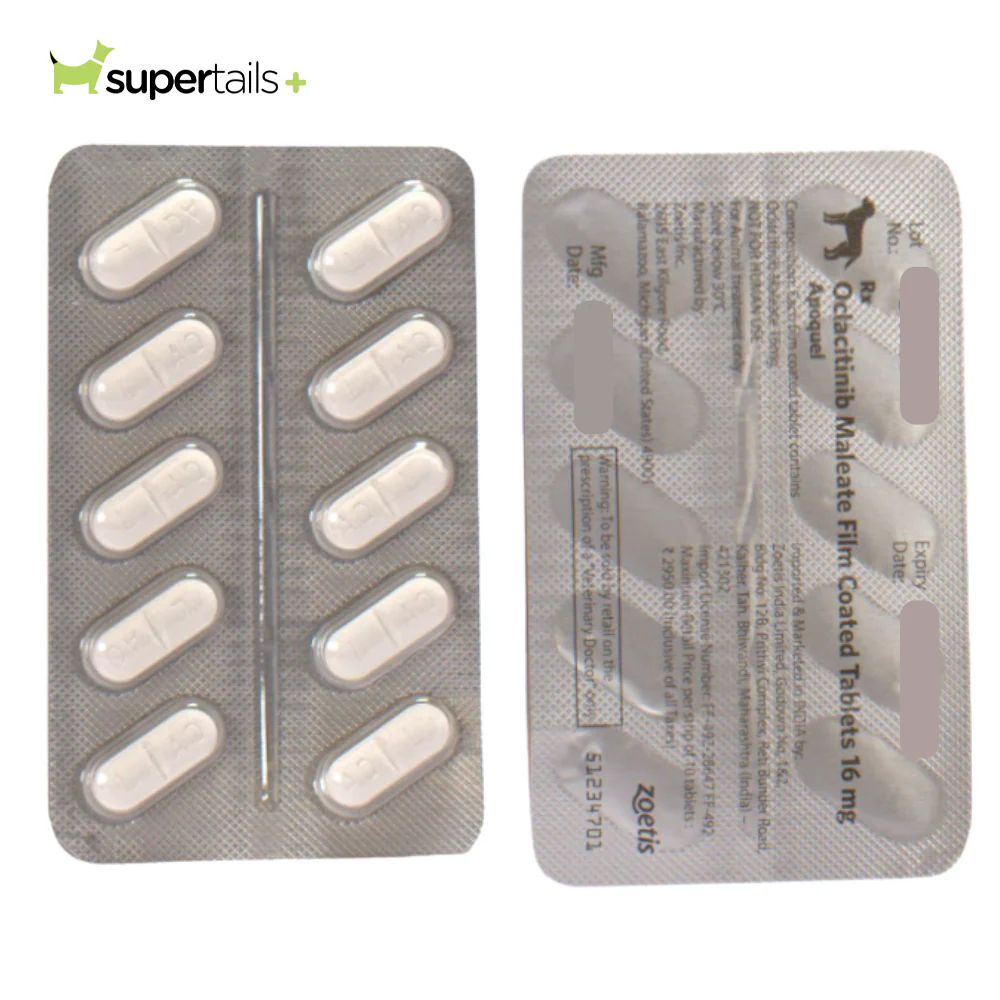 Zoetis Apoquel (Oclacitinib) 16mg Tablet for Dogs - Image 3