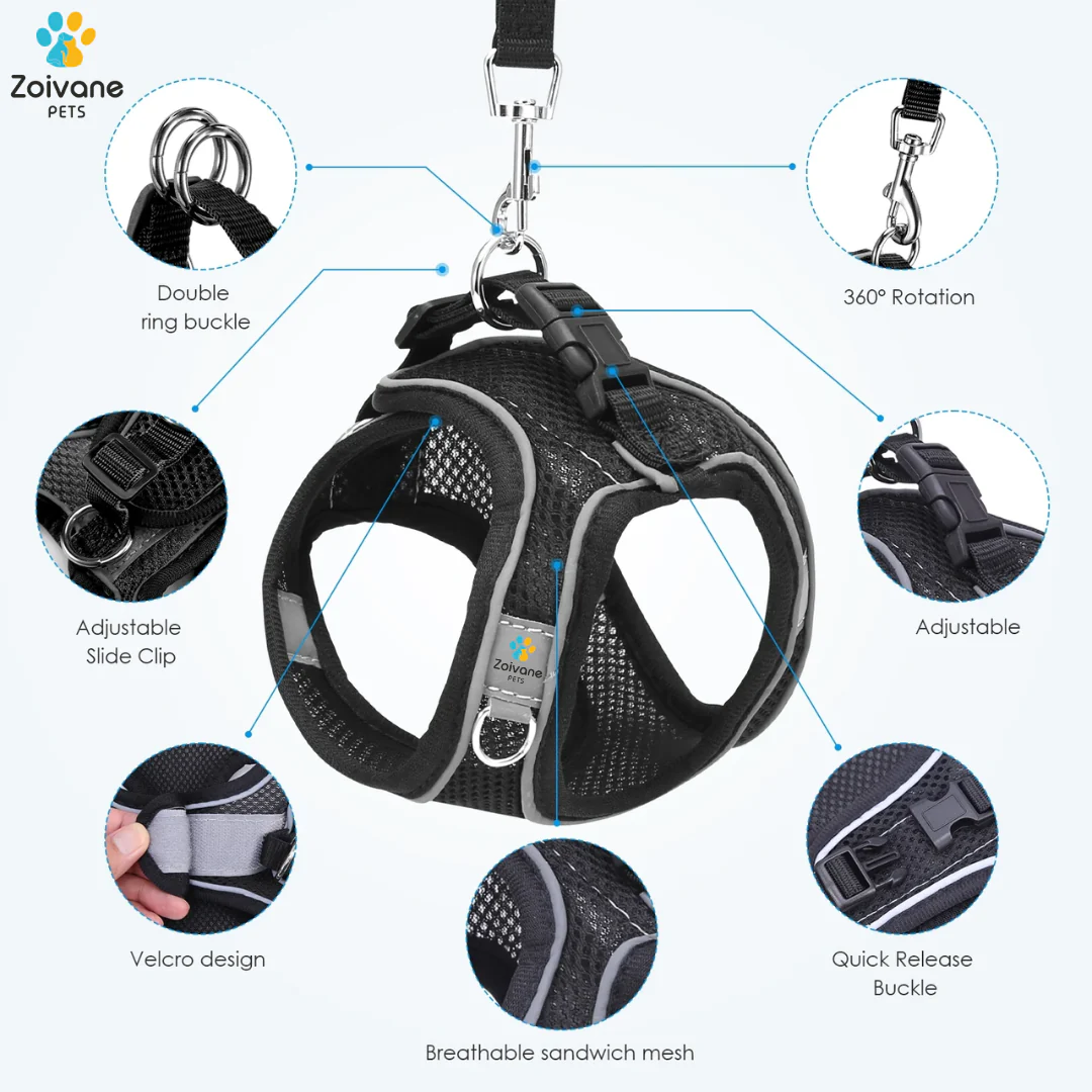Zoivane Harness for Cats (Black) - Image 2