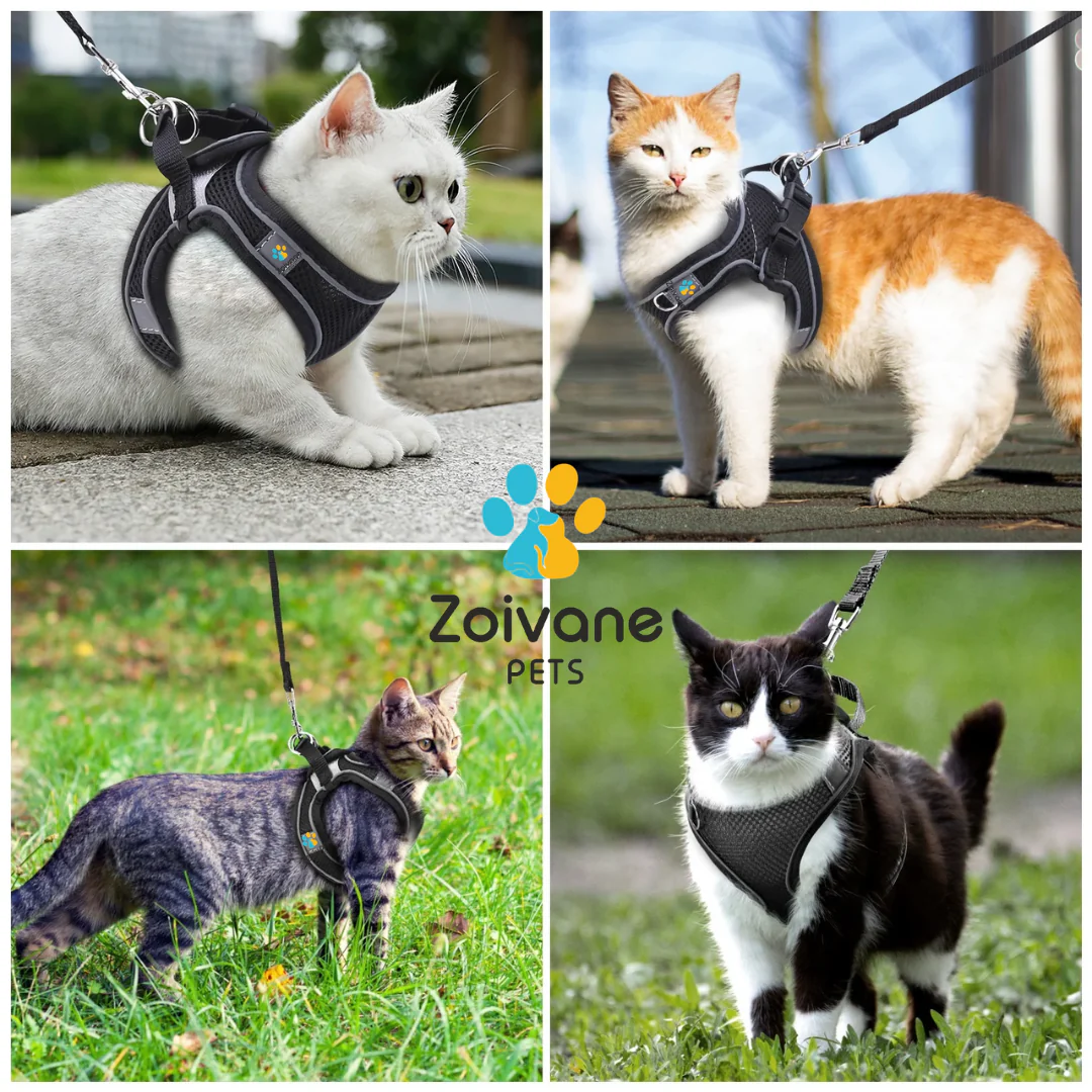Zoivane Harness for Cats (Black) - Image 5