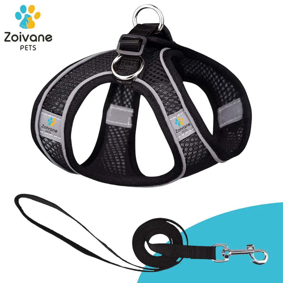 Zoivane Harness for Cats (Black) - Image 6