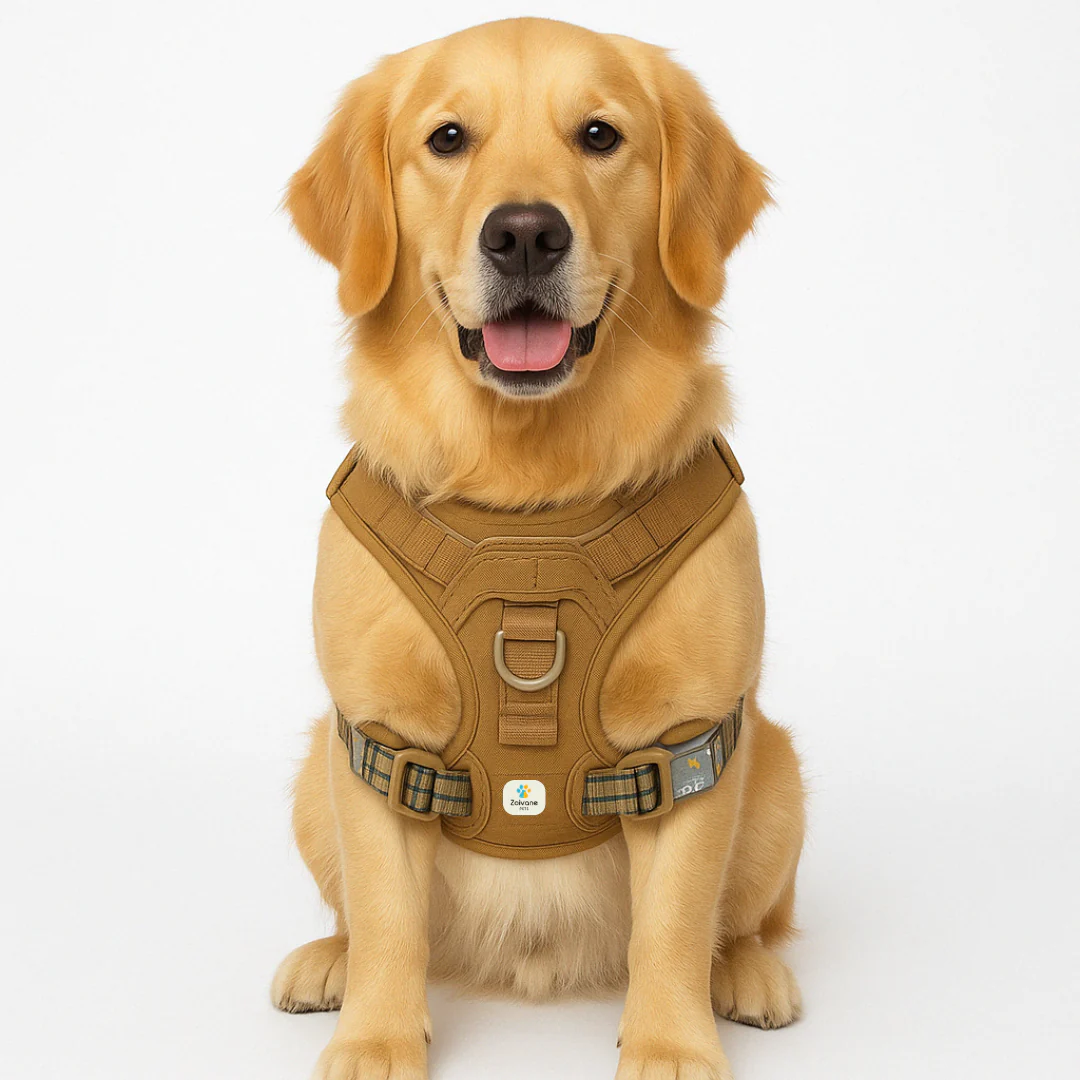 Zoivane Harness for Dogs (Khaki) - Image 5