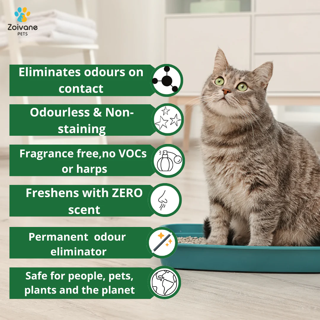 Zoivane Pets Odour Eliminator for Dogs and Cats - Image 2