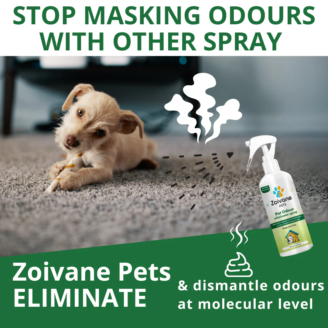 Zoivane Pets Odour Eliminator for Dogs and Cats - Image 3