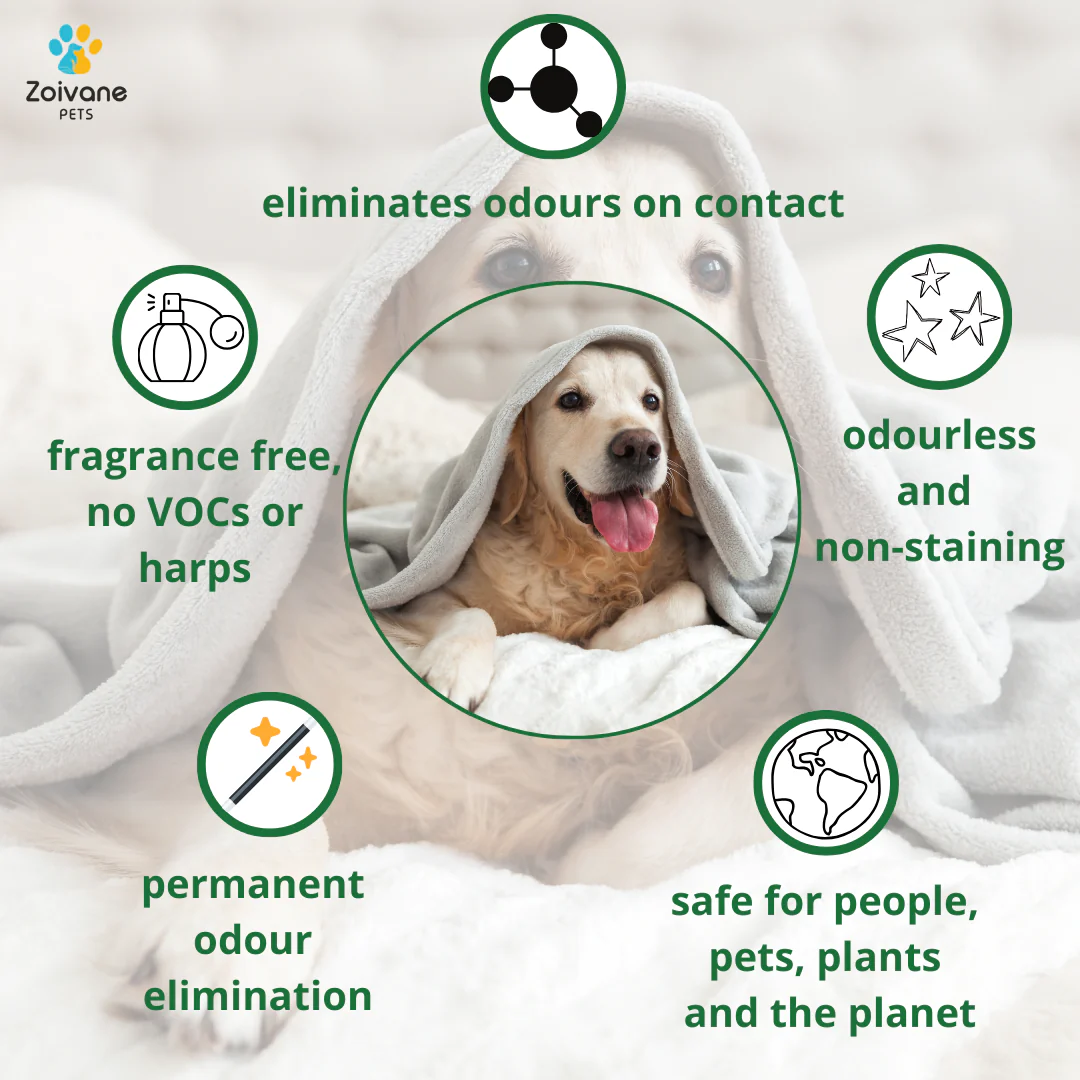 Zoivane Pets Odour Eliminator for Dogs and Cats - Image 5