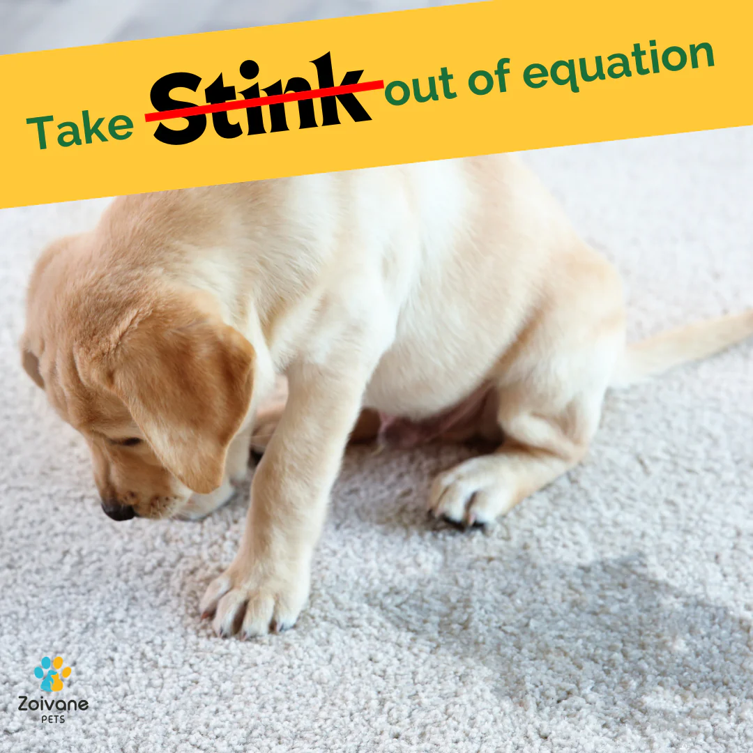 Zoivane Pets Odour Eliminator for Dogs and Cats - Image 6
