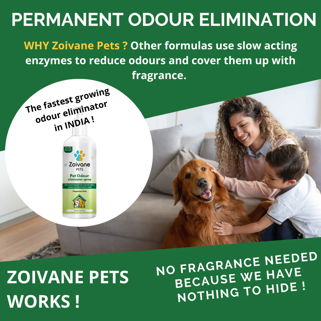 Zoivane Pets Odour Eliminator for Dogs and Cats - Image 7