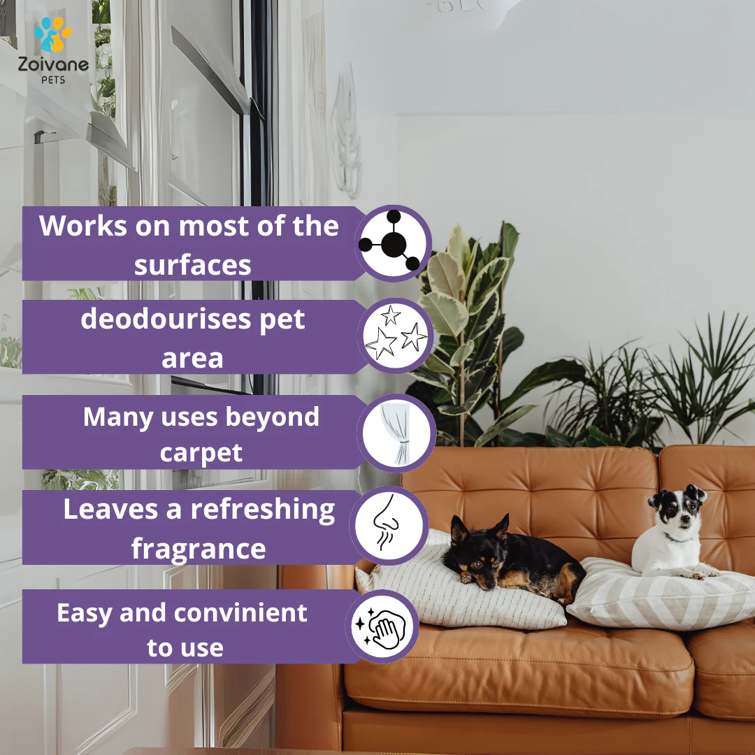Zoivane Pets Black Currant Odour Remover Spray for Dogs and Cats - Image 2