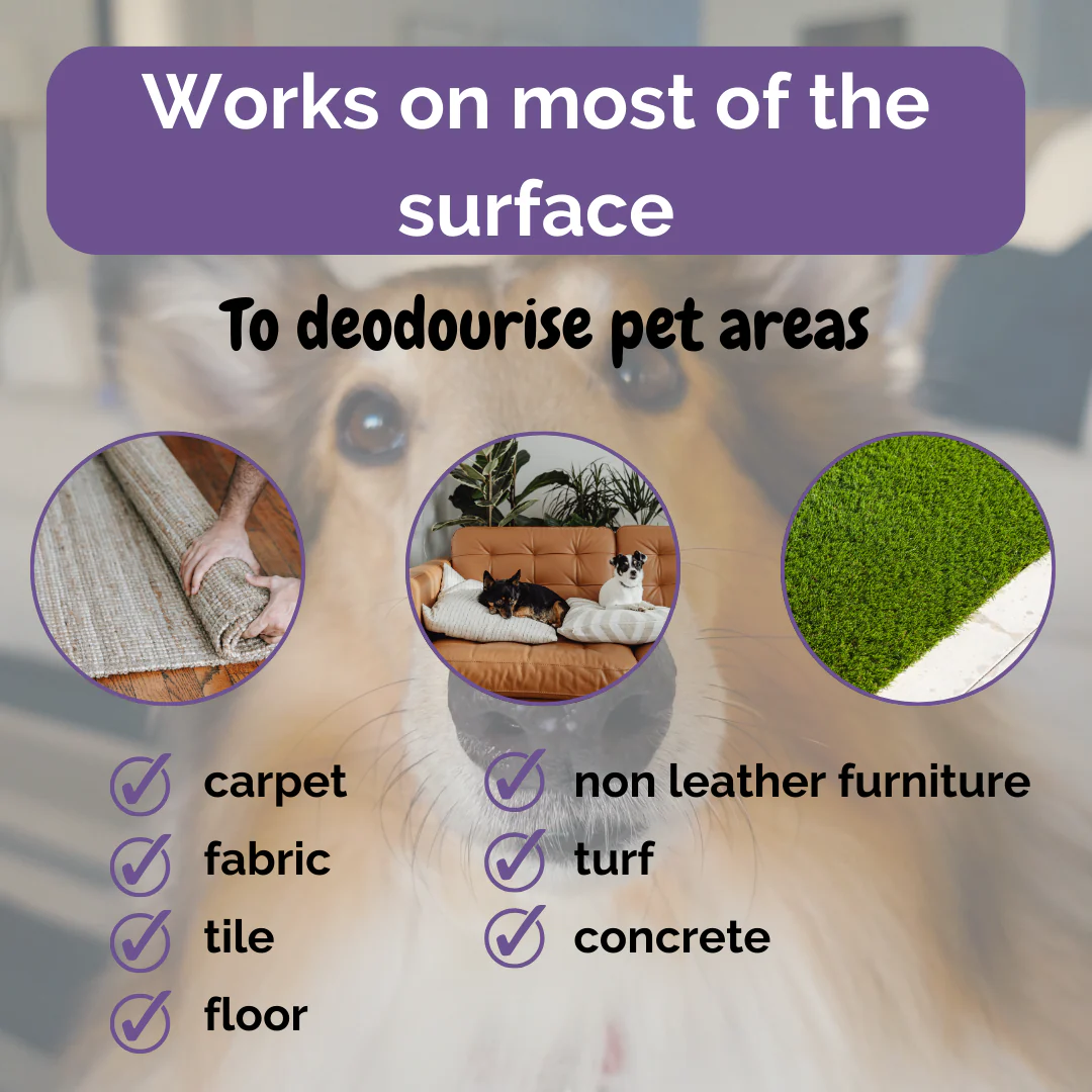 Zoivane Pets Black Currant Odour Remover Spray for Dogs and Cats - Image 3