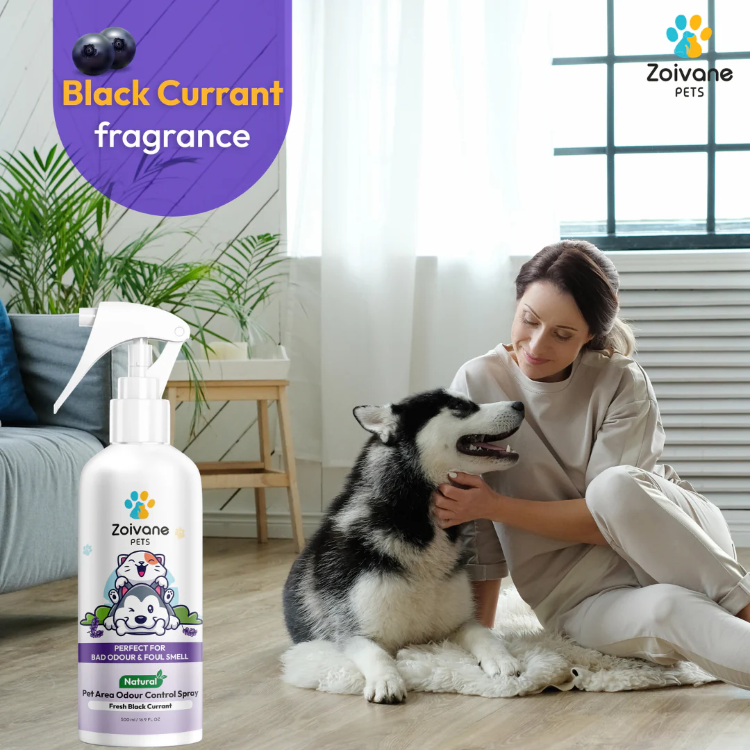 Zoivane Pets Black Currant Odour Remover Spray for Dogs and Cats - Image 4
