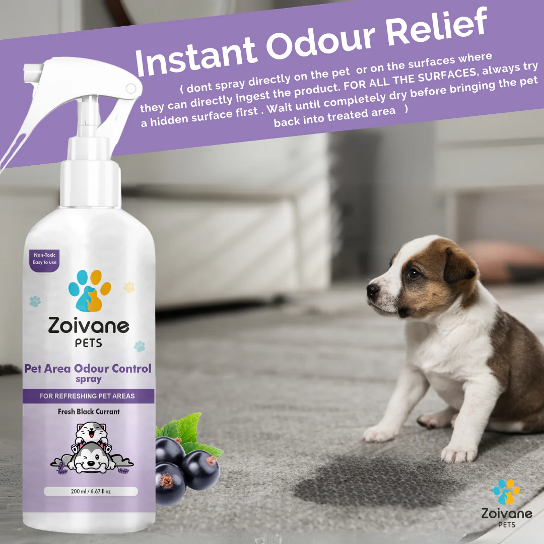 Zoivane Pets Black Currant Odour Remover Spray for Dogs and Cats - Image 5