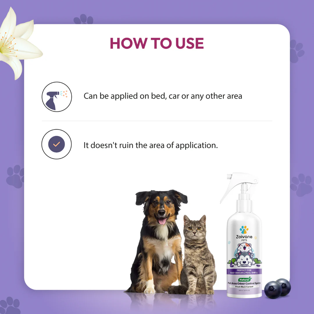 Zoivane Pets Black Currant Odour Remover Spray for Dogs and Cats - Image 6