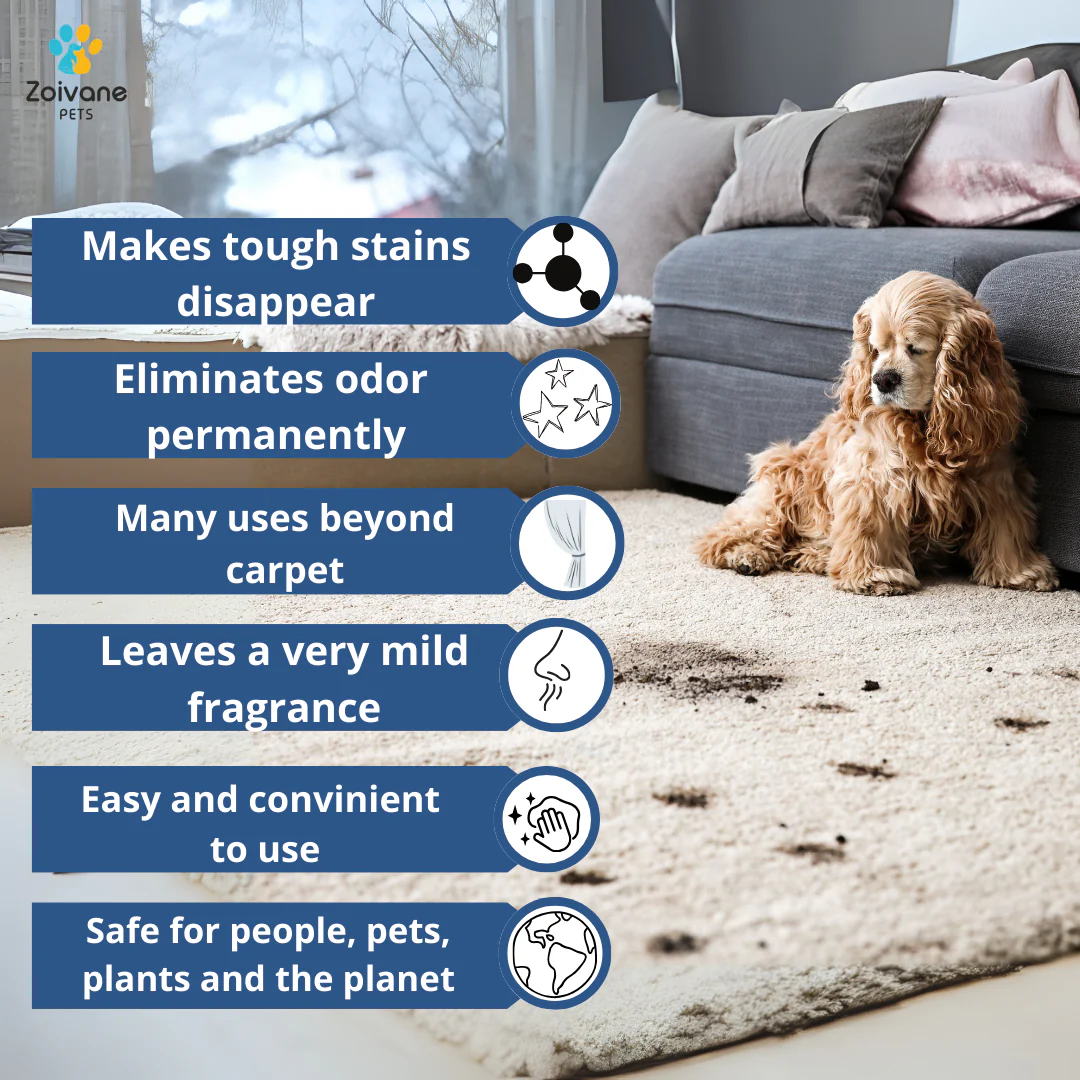 Zoivane Stain and Odour Eliminator for Dogs and Cats - Image 3