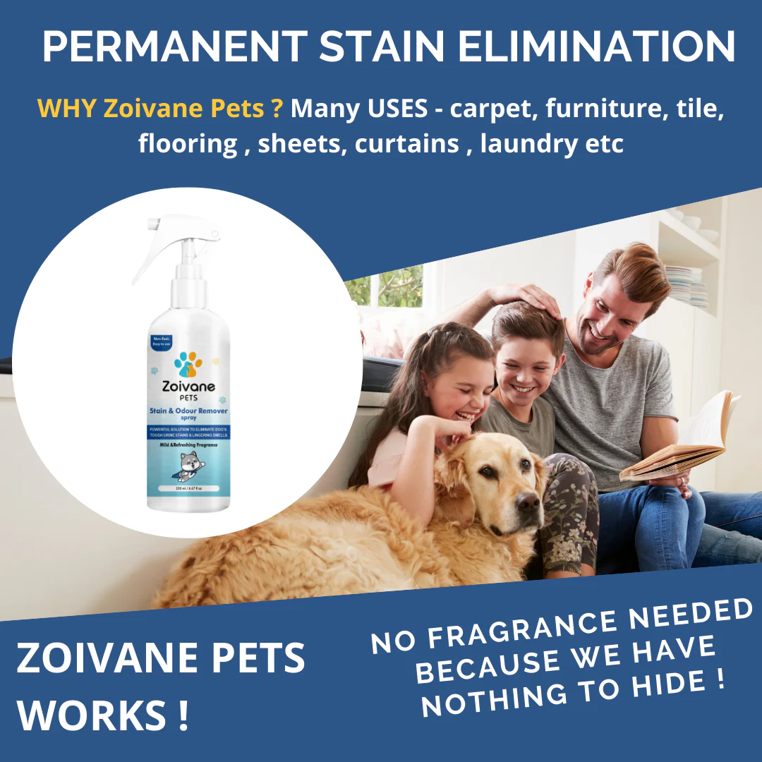 Zoivane Stain and Odour Eliminator for Dogs and Cats - Image 4
