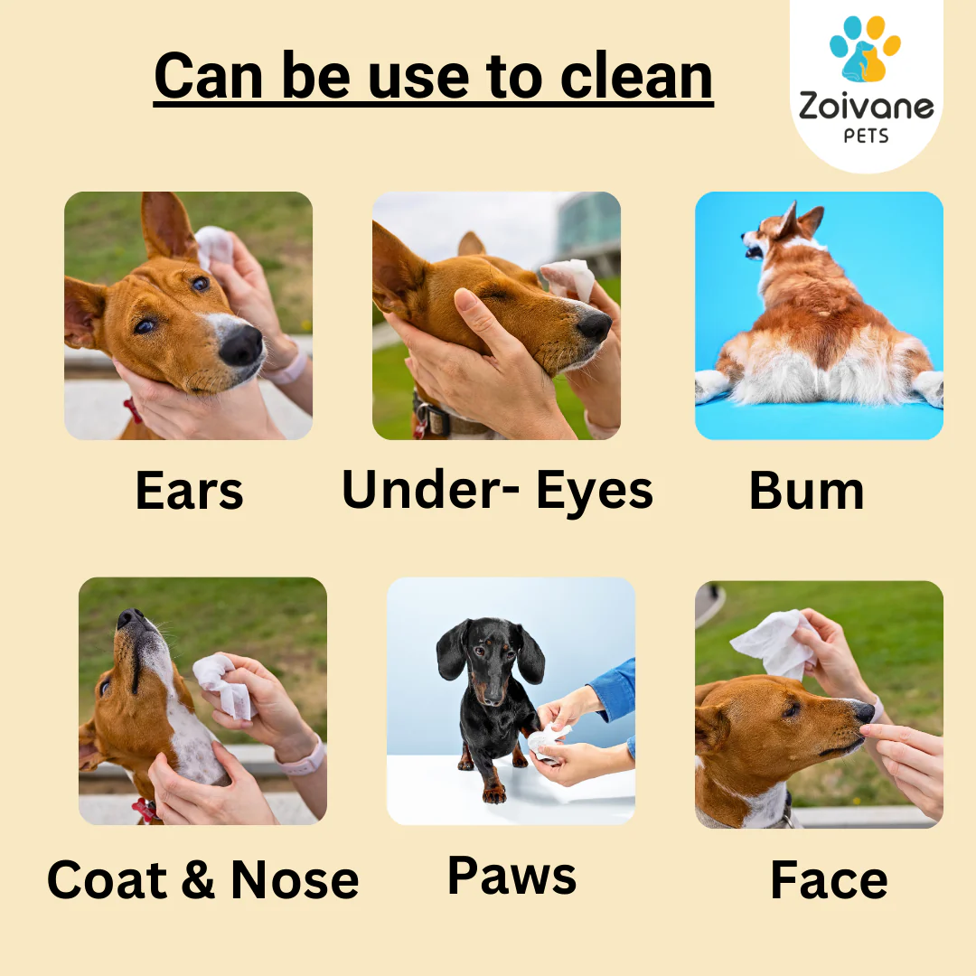 Zoivane Wet Wipes for Dogs and Cats - Image 2