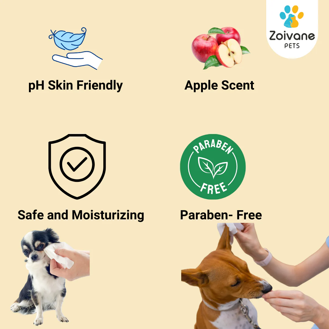 Zoivane Wet Wipes for Dogs and Cats - Image 3