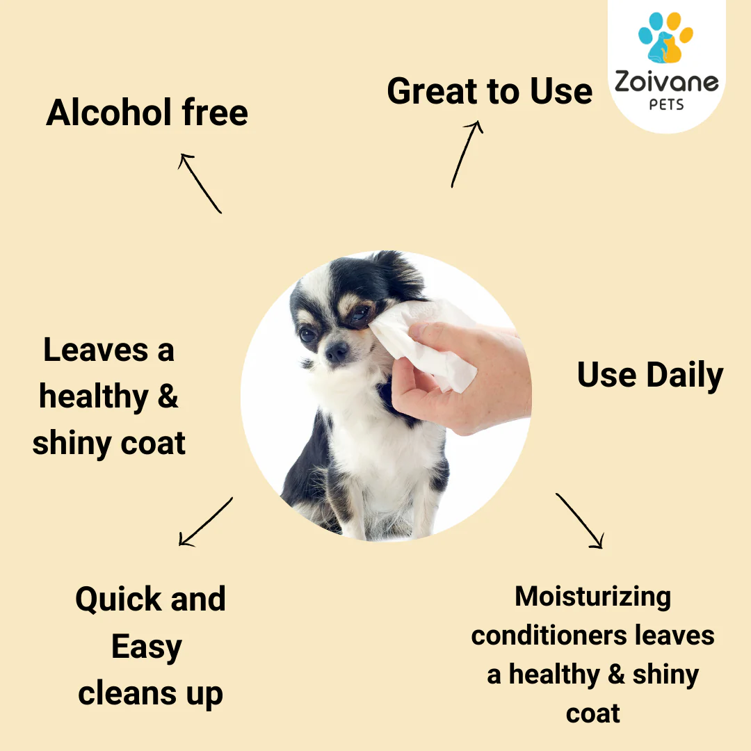 Zoivane Wet Wipes for Dogs and Cats - Image 4