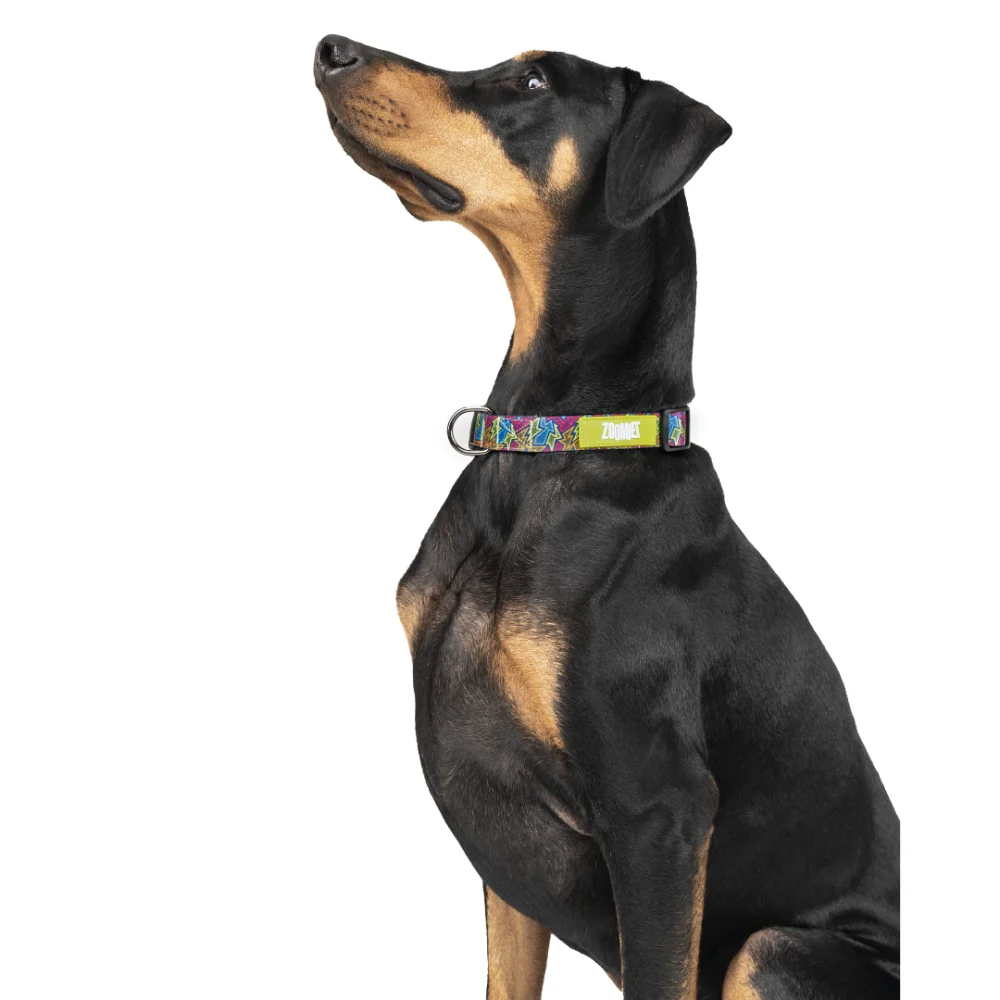 Zoomiez Bolt Printed Collar for Dogs - Image 5