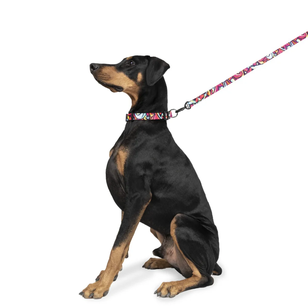Zoomiez Drip Printed Collar for Dogs - Image 4