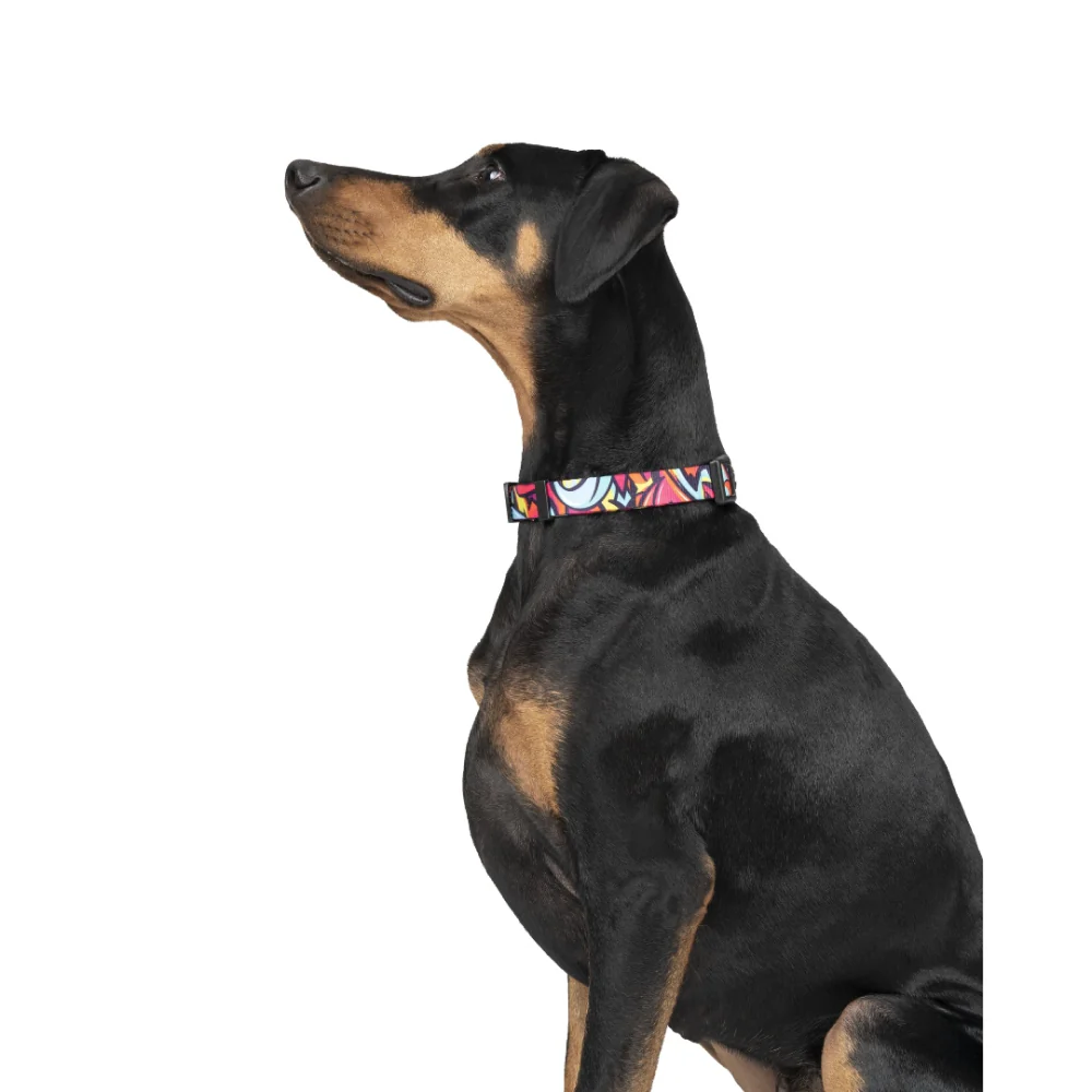 Zoomiez Drip Printed Collar for Dogs - Image 5