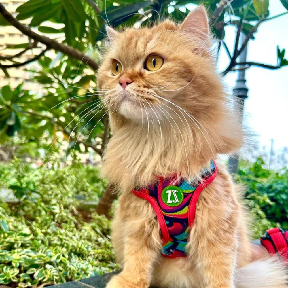 Zoomiez Adjustable Drip Printed Soft Mesh Harness for Cats - Image 5