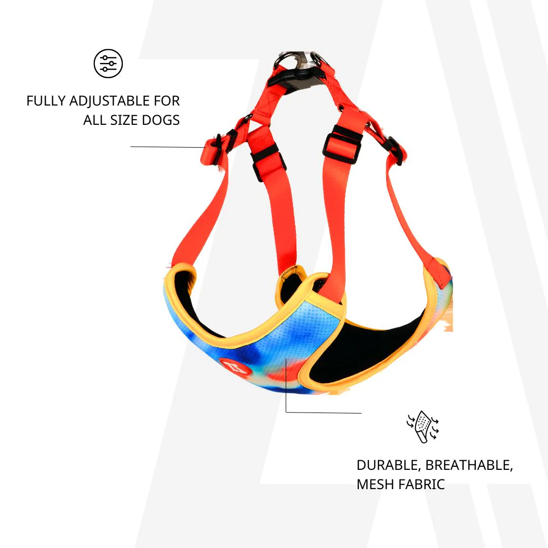 Zoomiez Adjustable Splash Printed Step in Mesh Harness for Dogs - Image 5