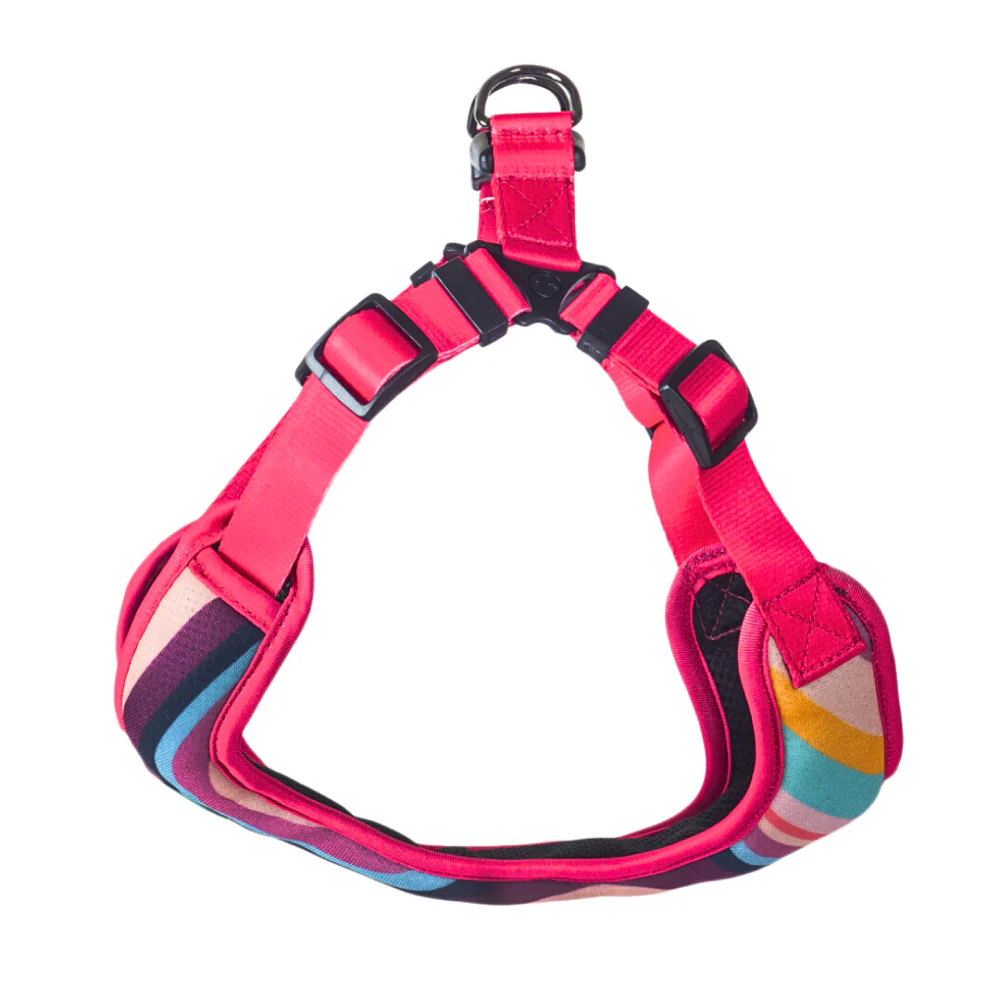 Zoomiez Adjustable Swirl Printed Step in Mesh Harness for Dogs - Image 5