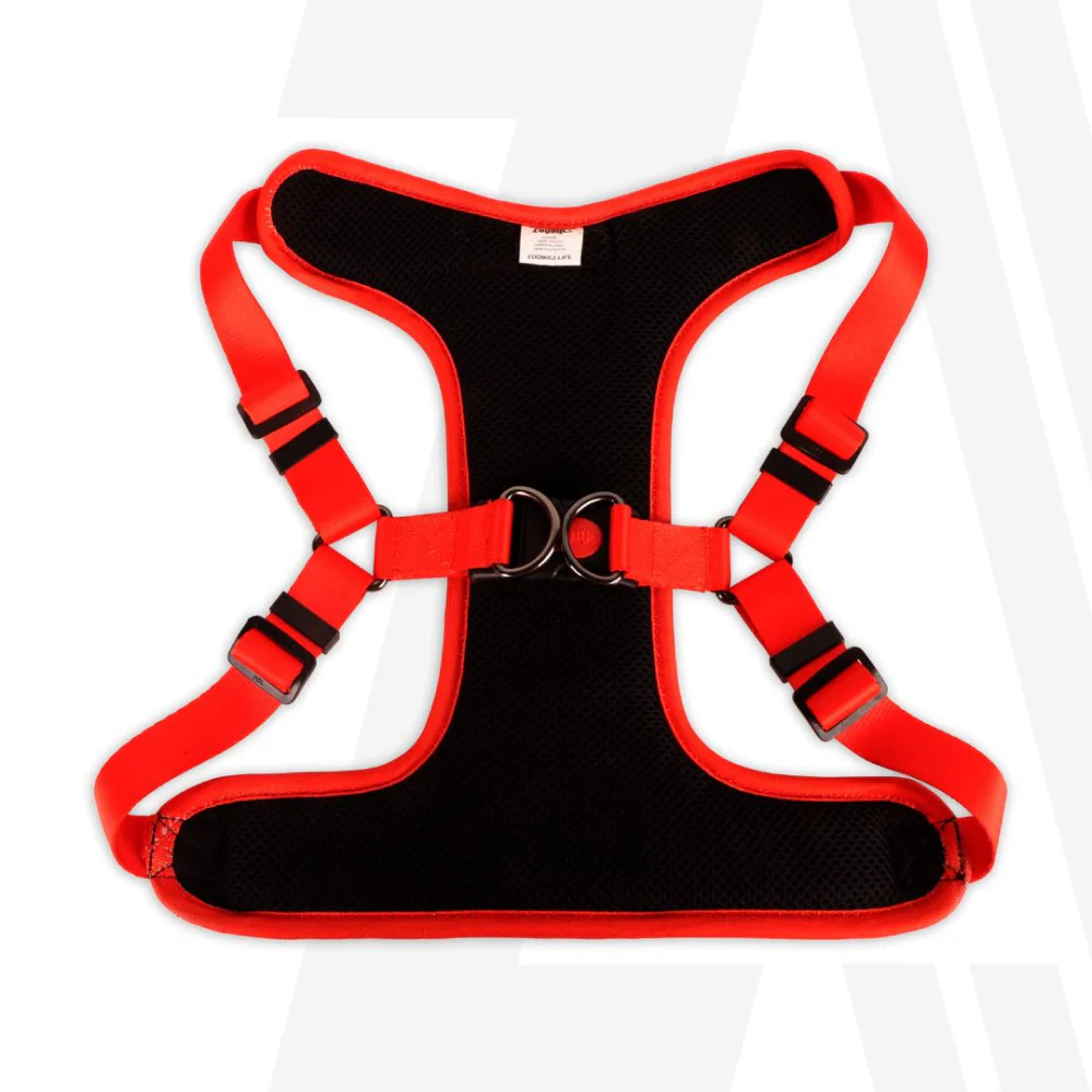 Zoomiez Adjustable Tango Printed Step in Mesh Harness for Dogs - Image 4