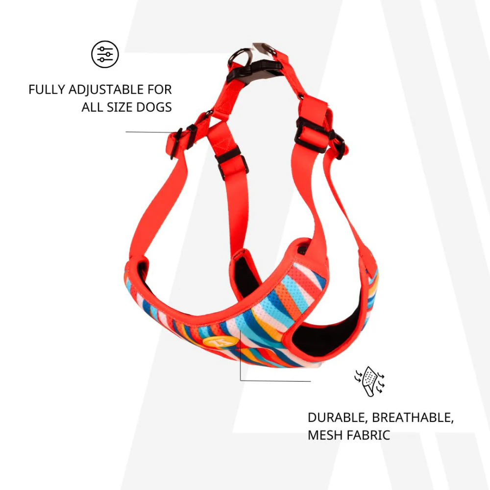 Zoomiez Adjustable Tango Printed Step in Mesh Harness for Dogs - Image 6