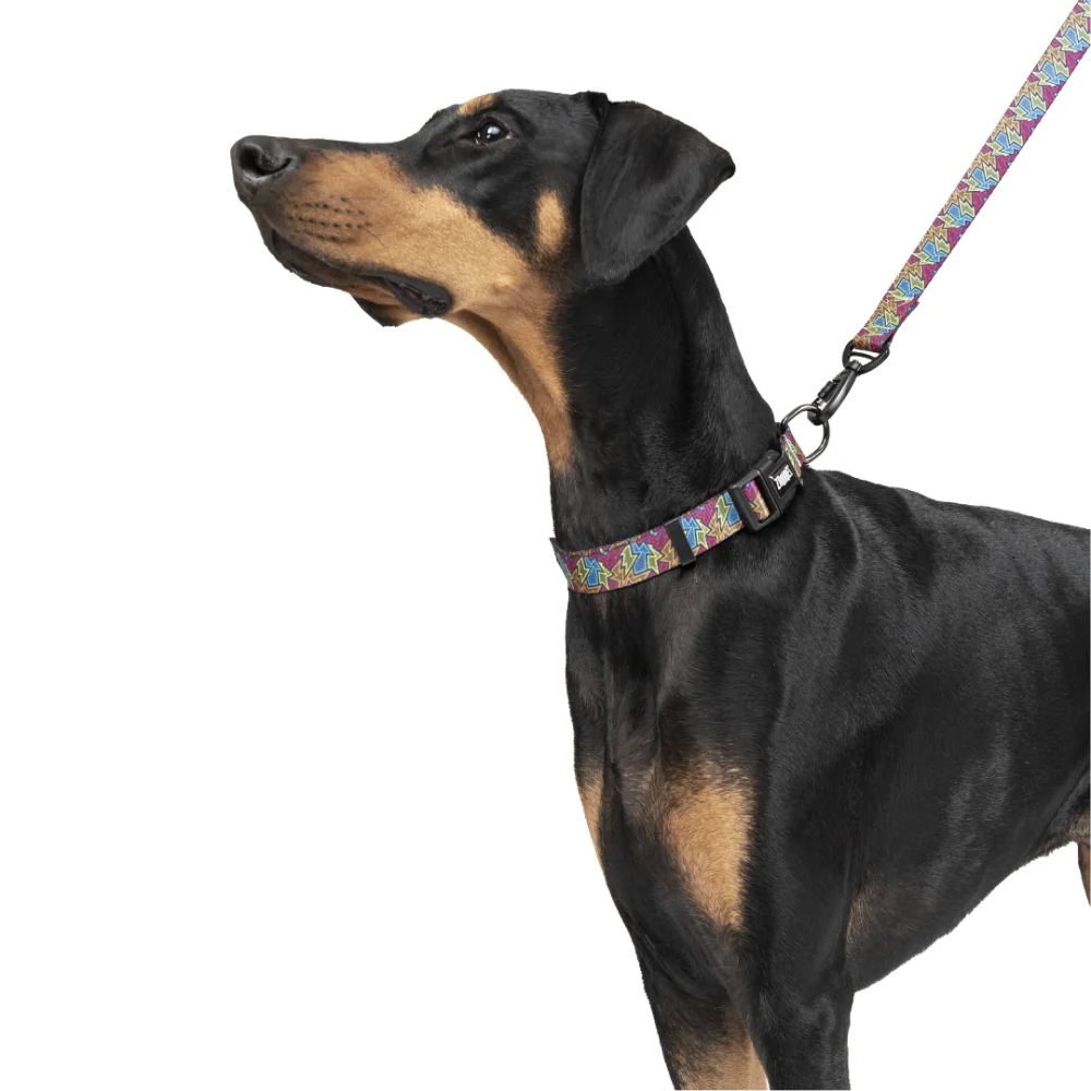 Zoomiez Bolt Printed Leash for Dogs - Image 7