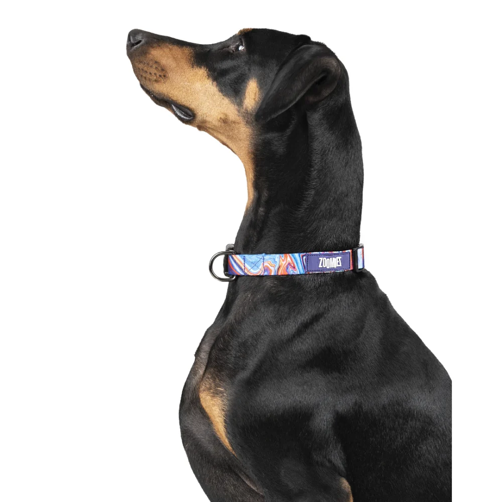 Zoomiez Fluid Printed Collar for Dogs - Image 5