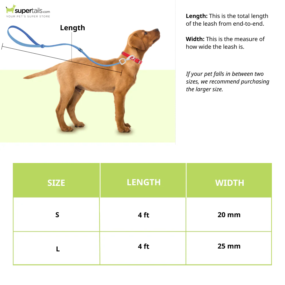 Zoomiez Fluid Printed Leash for Dogs - Image 2