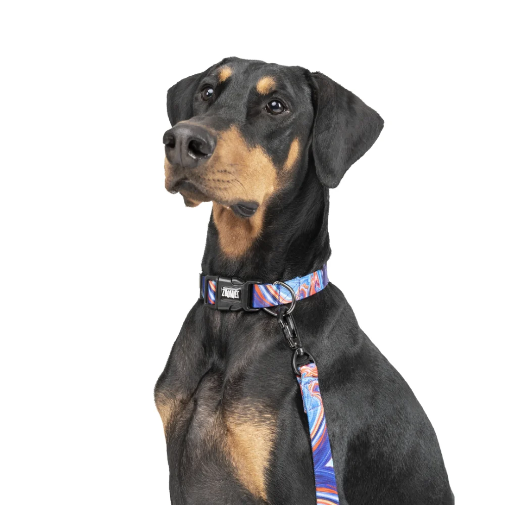 Zoomiez Fluid Printed Leash for Dogs - Image 7
