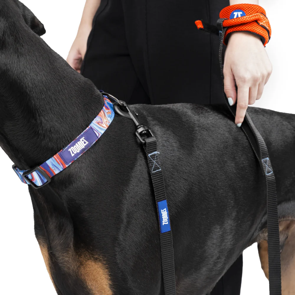 Zoomiez Hands Free Mesh Leash for Dogs & Cats (Orange) - Image 3