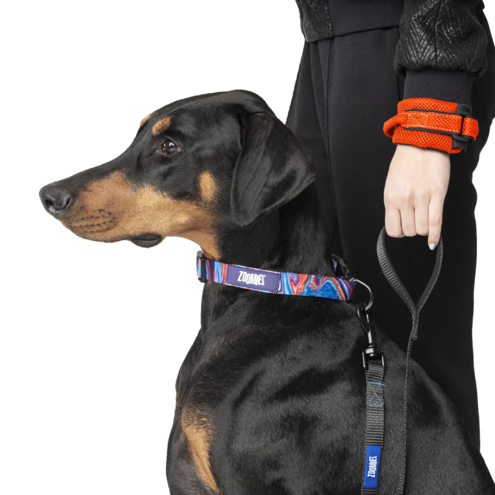 Zoomiez Hands Free Mesh Leash for Dogs & Cats (Orange) - Image 4
