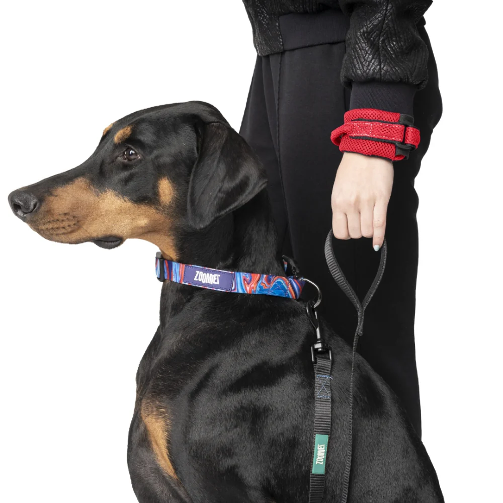 Zoomiez Hands Free Mesh Leash for Dogs & Cats (Red) - Image 4