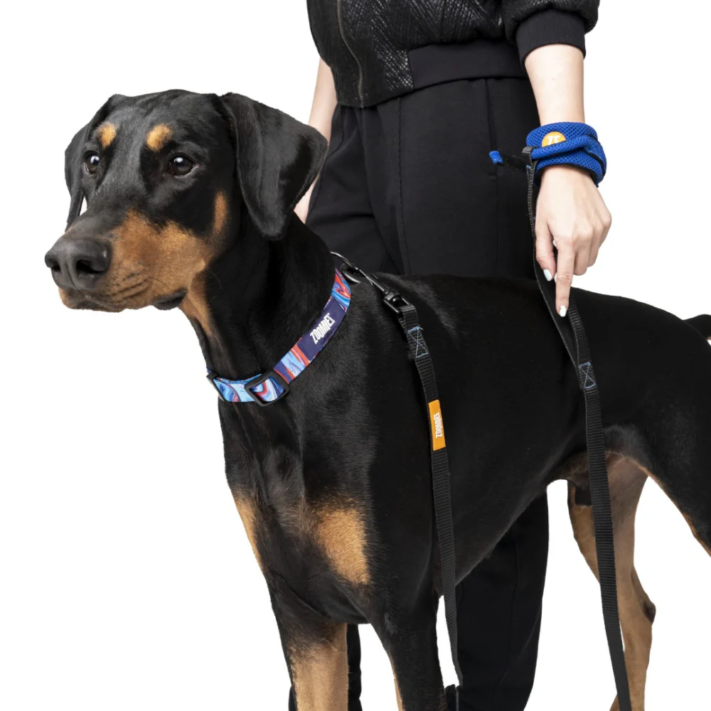 Zoomiez Hands Free Mesh Leash for Dogs & Cats (Royal Blue) - Image 5