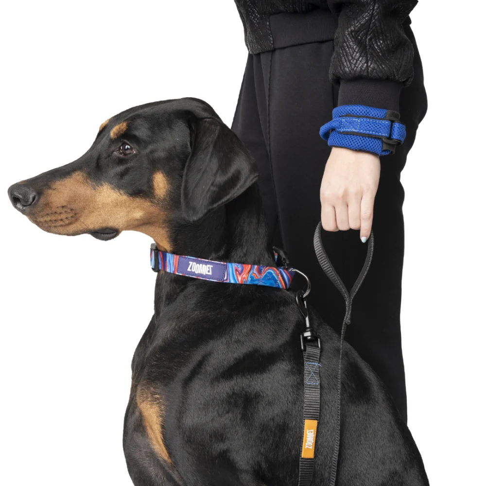 Zoomiez Hands Free Mesh Leash for Dogs & Cats (Royal Blue) - Image 6
